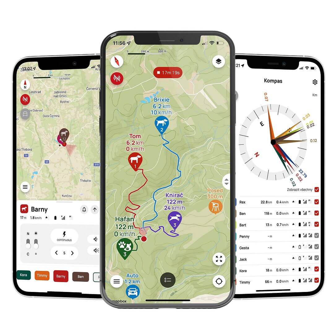 DOG GPS X30TB