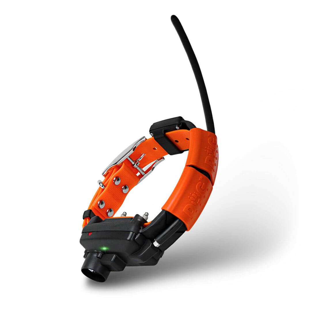 DOG GPS X30TB