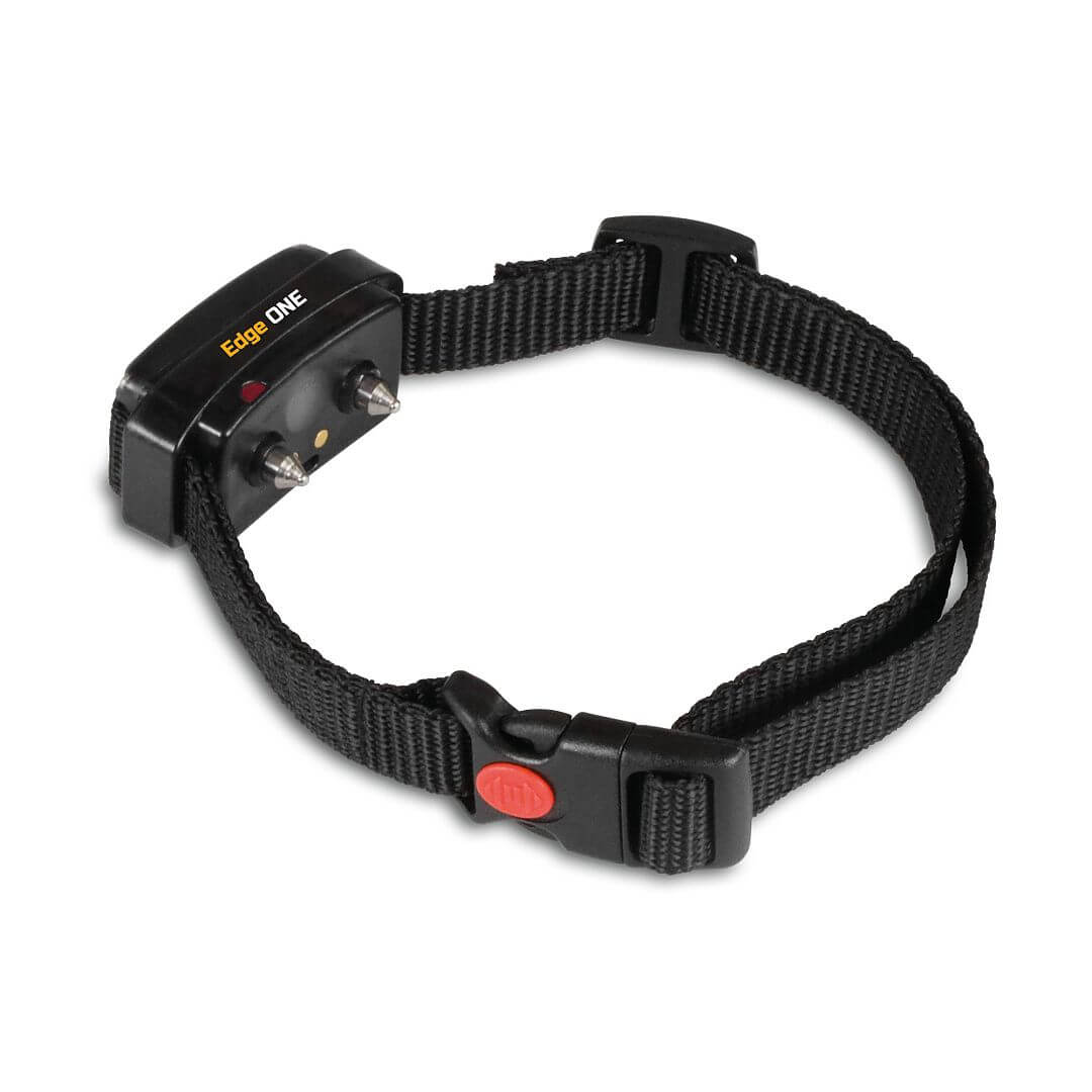 d-control Edge 250 ONE
